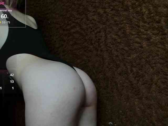 Lisse webcam