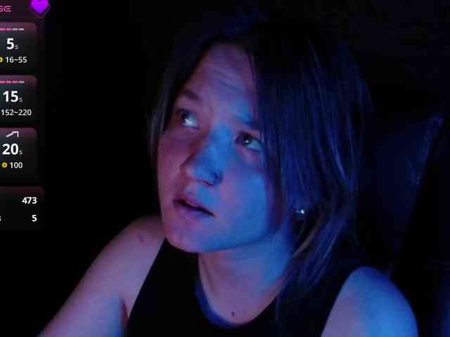 Lisse webcam