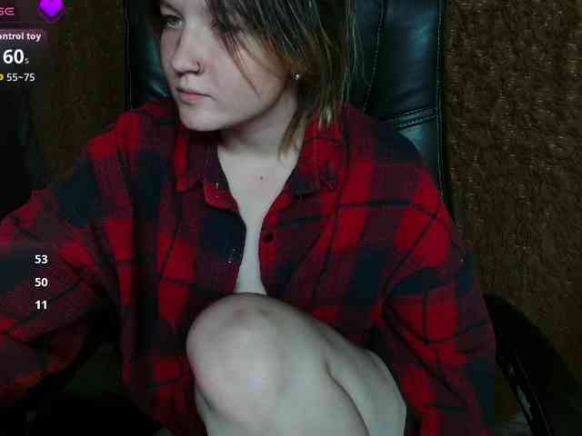 Lisse webcam