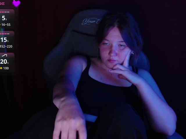 Lisse webcam