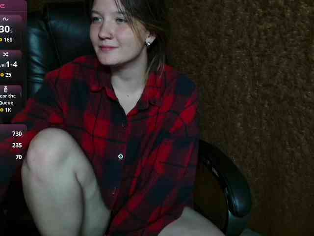 Lisse webcam