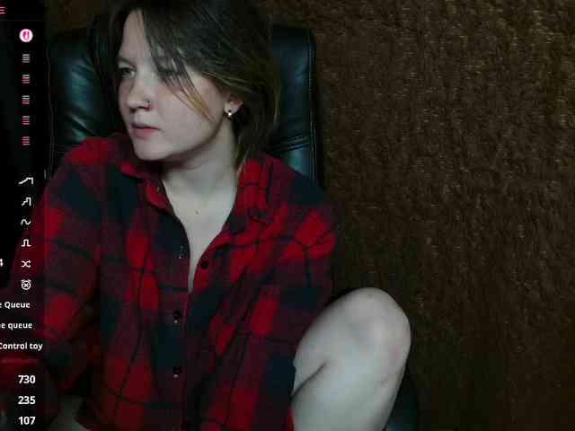 Lisse webcam