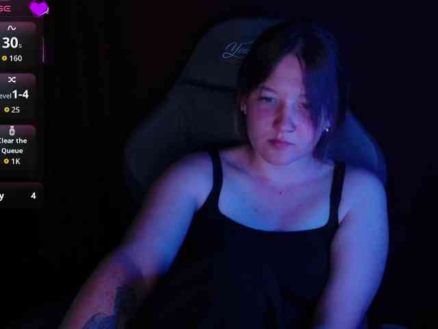Lisse webcam