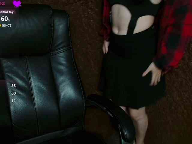 Lisse webcam