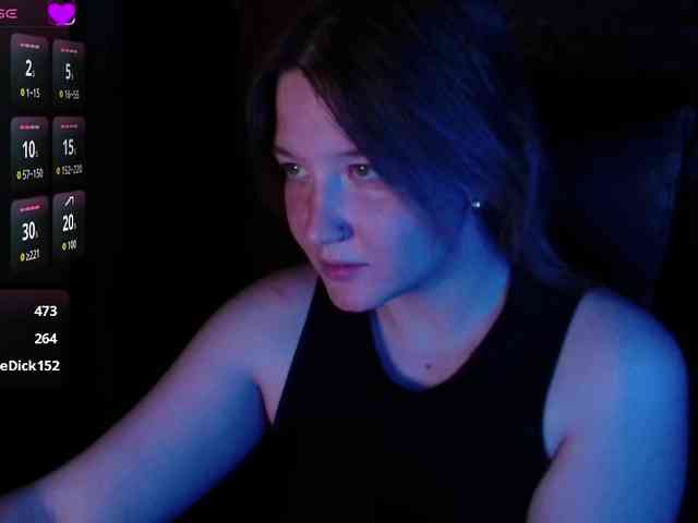Lisse webcam