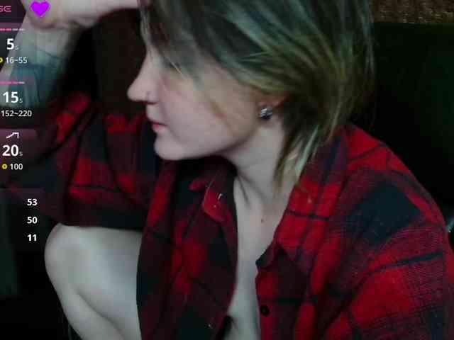 Lisse webcam