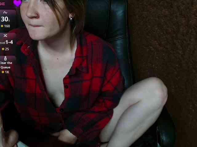 Lisse webcam