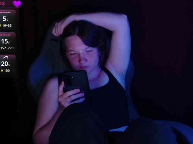 Lisse webcam