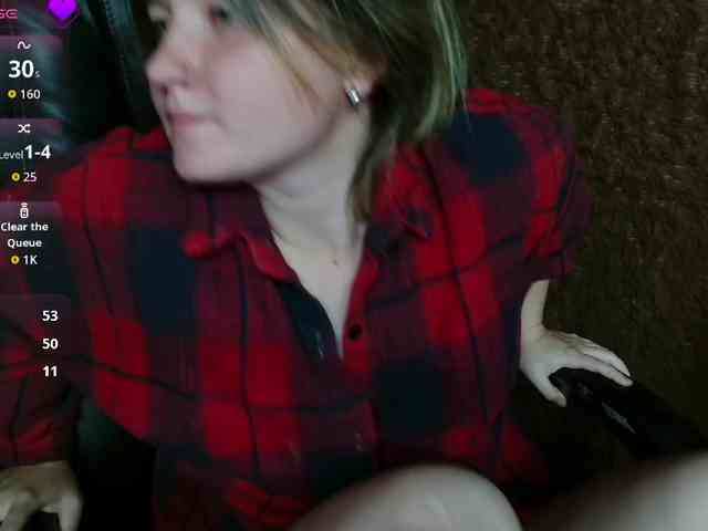 Lisse webcam