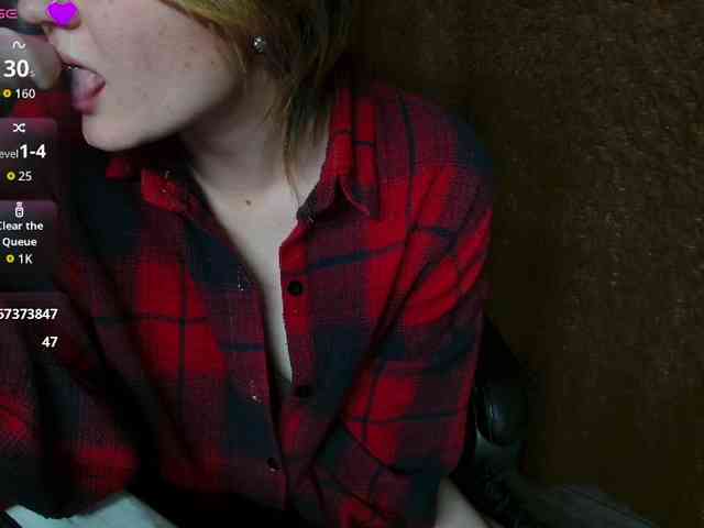 Lisse webcam