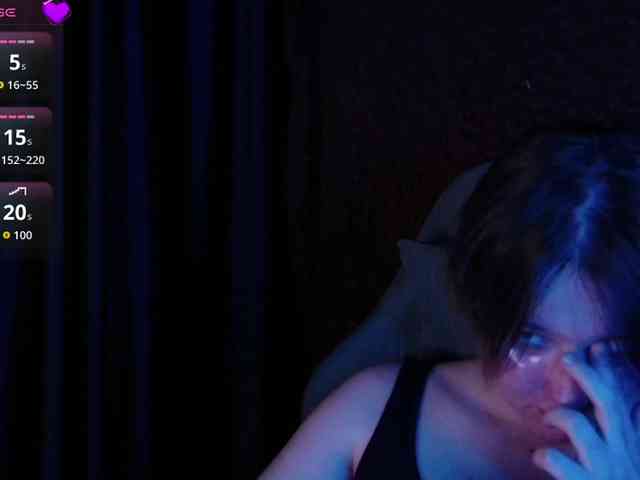 Lisse webcam