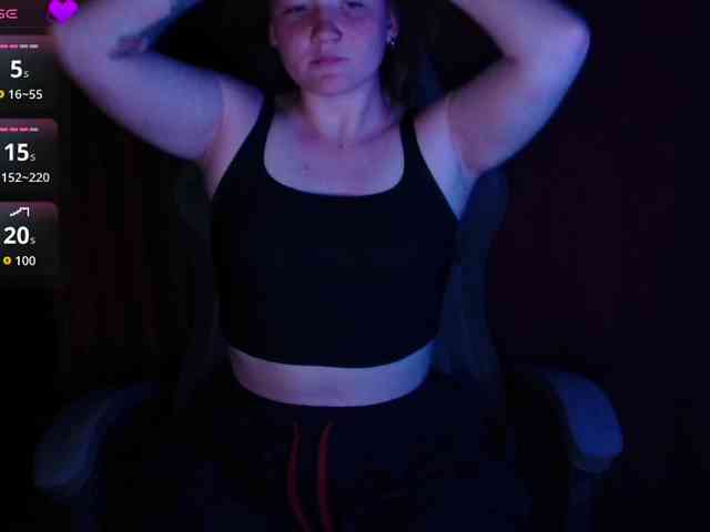 Lisse webcam
