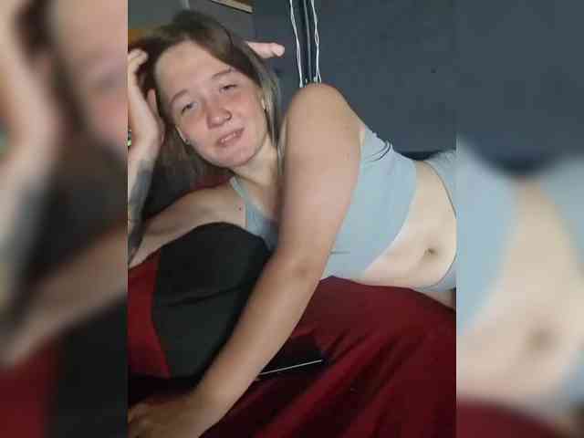 Lisse webcam