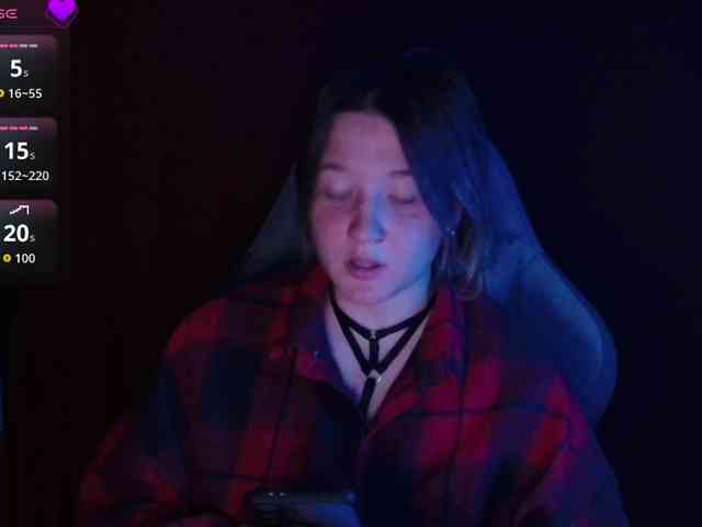 Lisse webcam