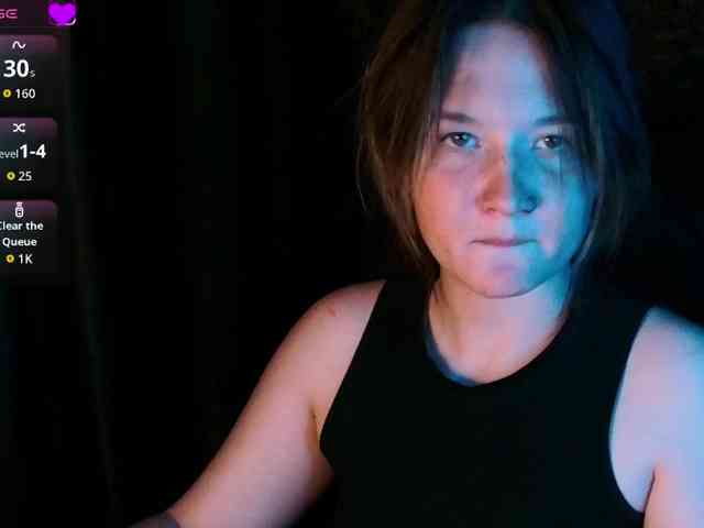 Lisse webcam