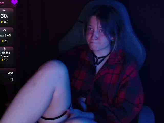 Lisse webcam