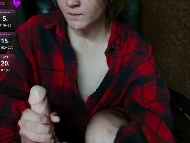 Lisse webcam