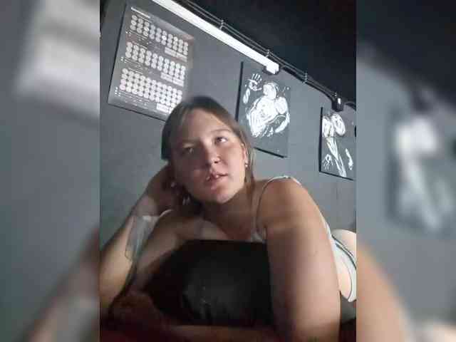Lisse webcam
