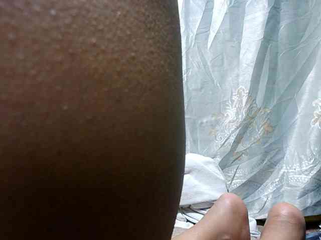 Lutricia webcam