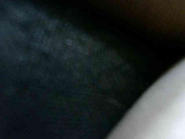 Lutricia webcam