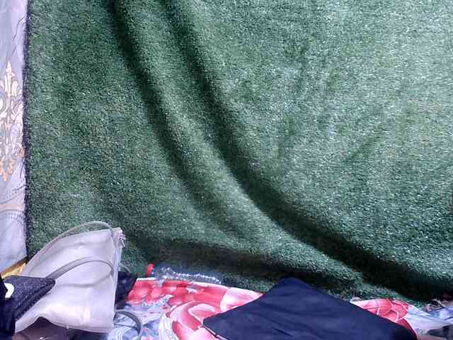 Lutricia webcam