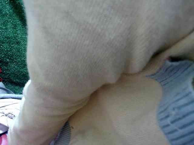 Lutricia webcam