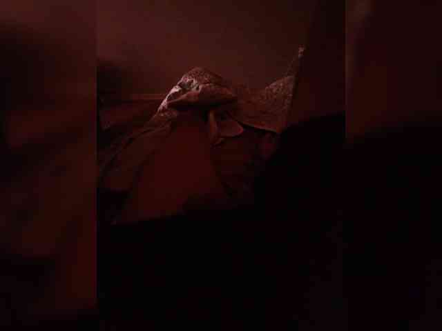 lllooolll04