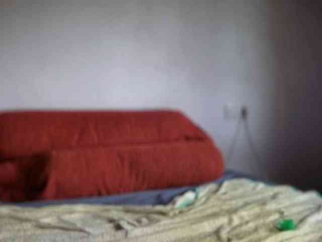 Balearicsex11