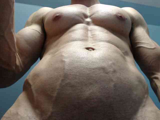 flexhard1