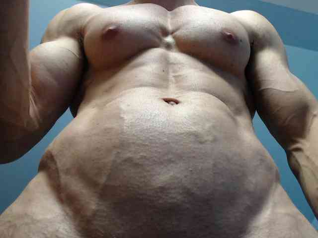 flexhard1