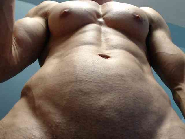 flexhard1