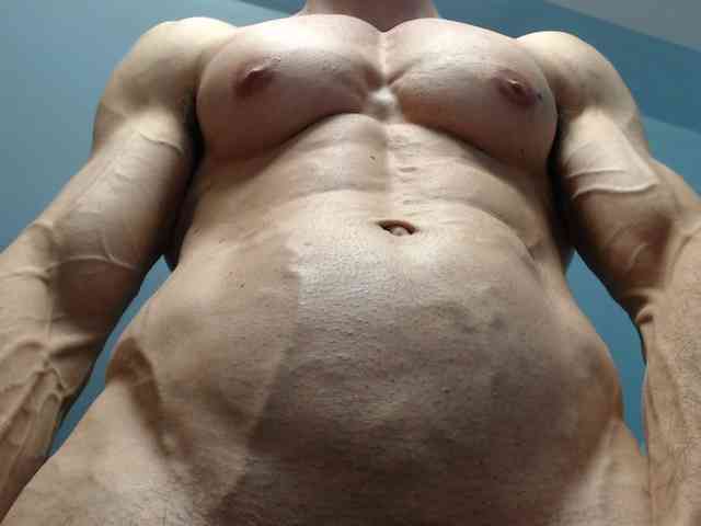 flexhard1 flexhard1