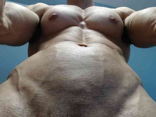 flexhard1