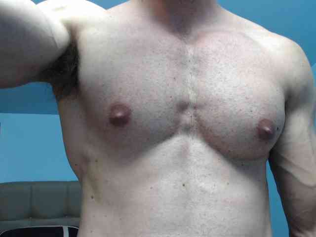 flexhard1 flexhard1