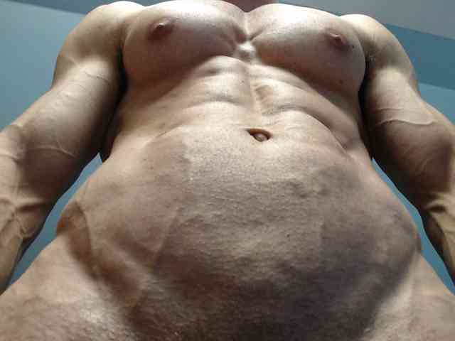 flexhard1
