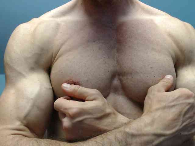 flexhard1