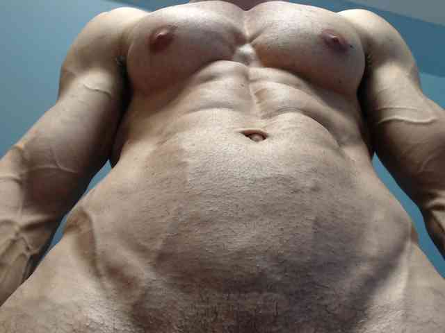 flexhard1 flexhard1