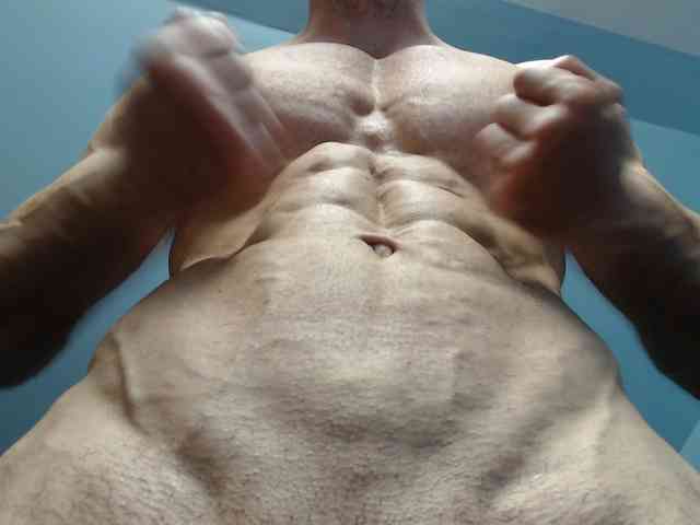 flexhard1