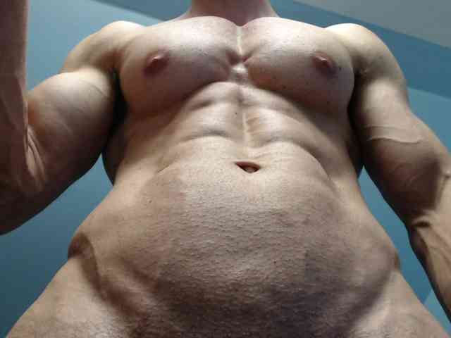 flexhard1