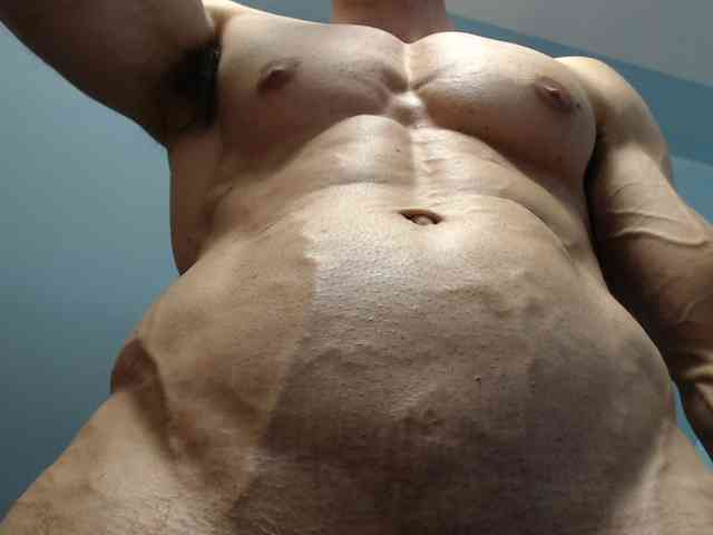 flexhard1