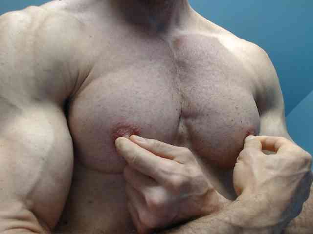 flexhard1 flexhard1