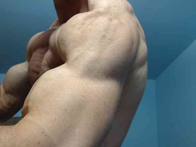flexhard1 flexhard1