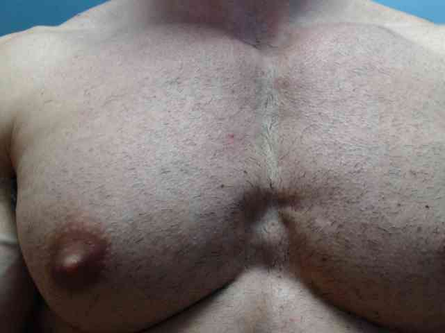 flexhard1 flexhard1