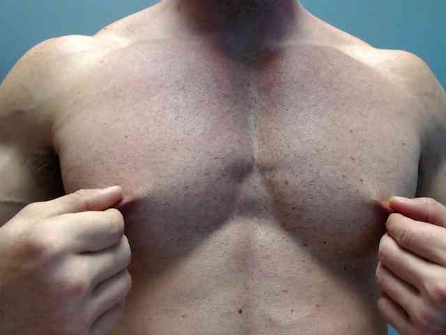 flexhard1