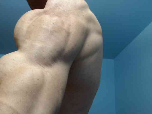 flexhard1 flexhard1
