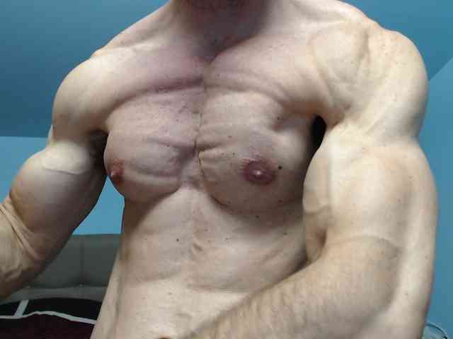 flexhard1
