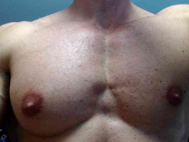 flexhard1