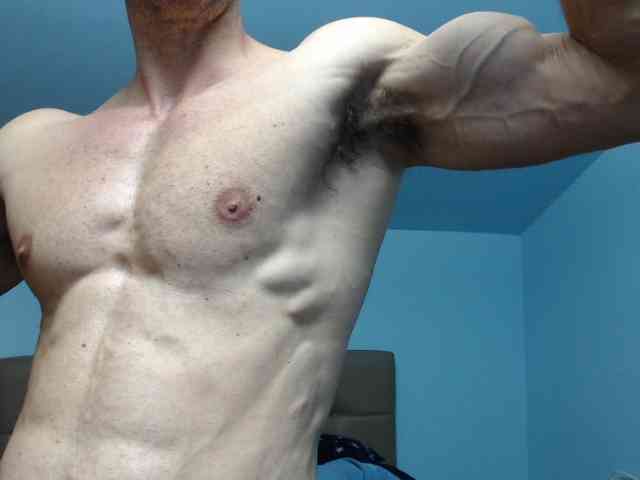 flexhard1 flexhard1
