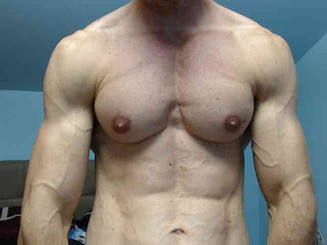 flexhard1 flexhard1