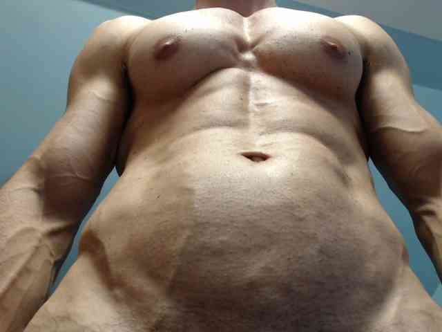 flexhard1